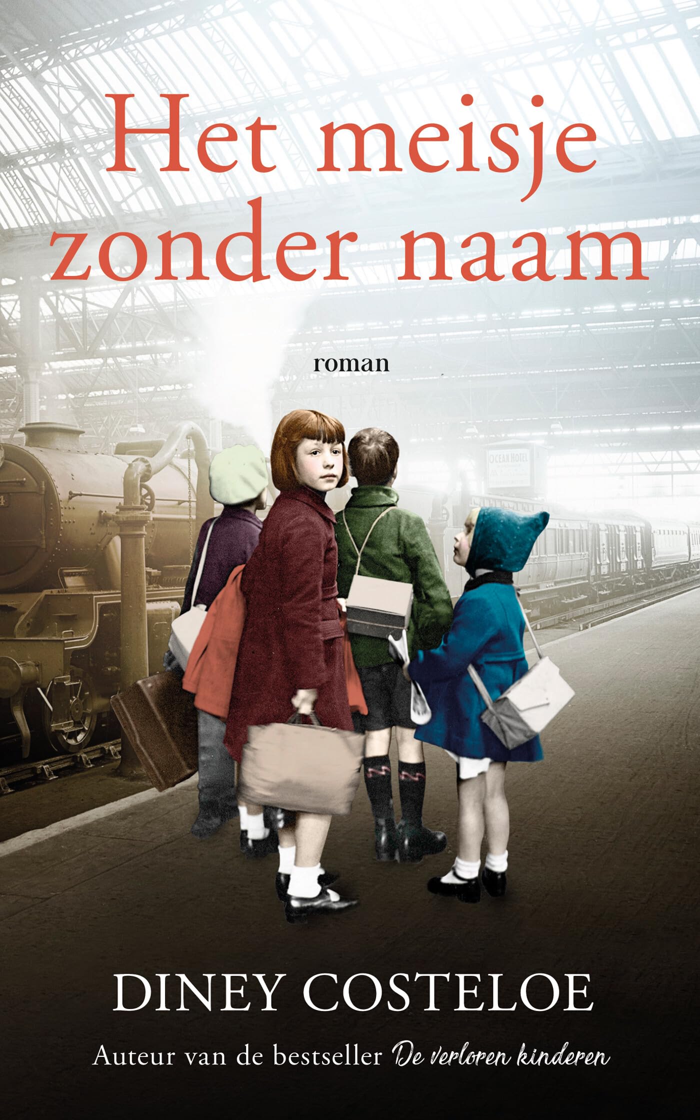 Het meisje zonder naam book