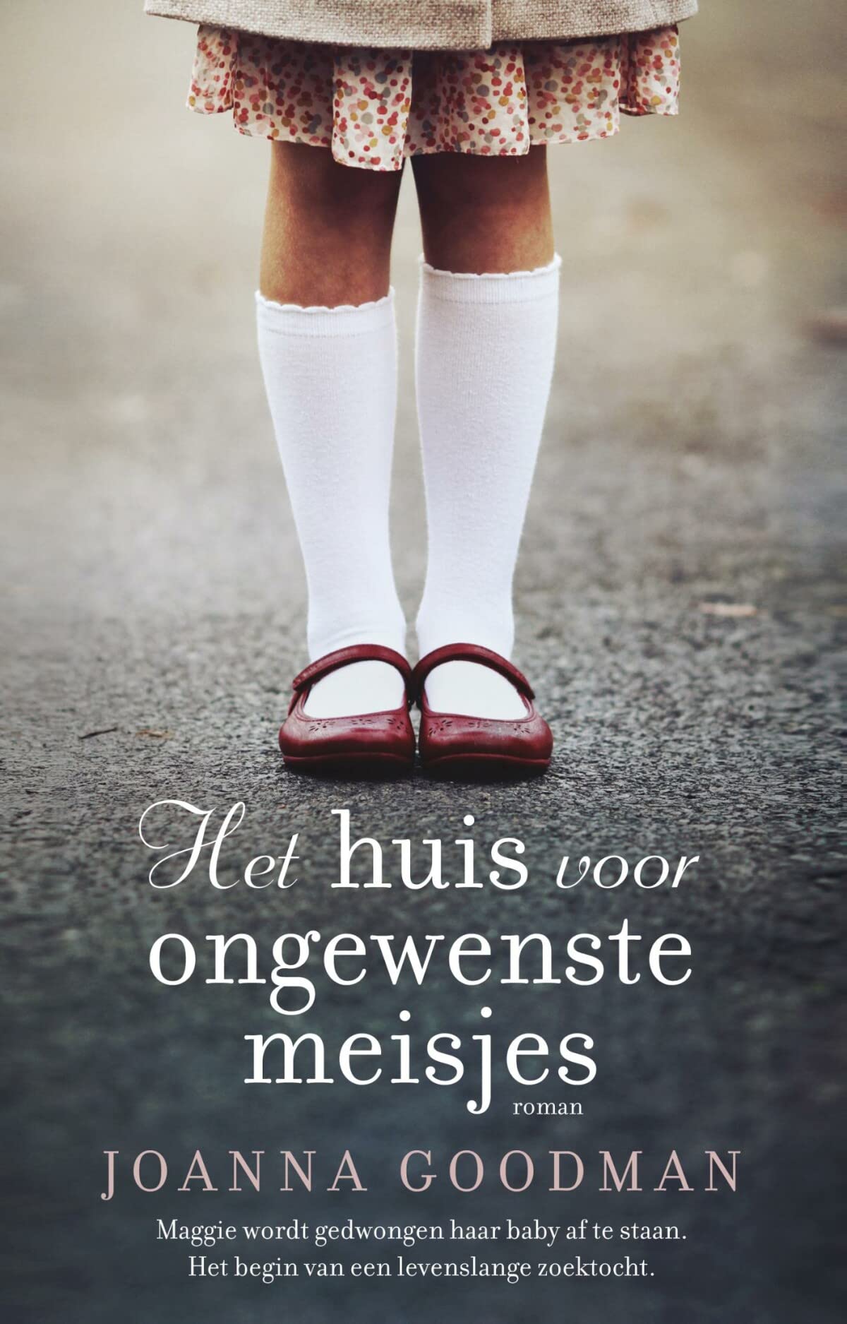 Het huis voor ongewenste meisjes book