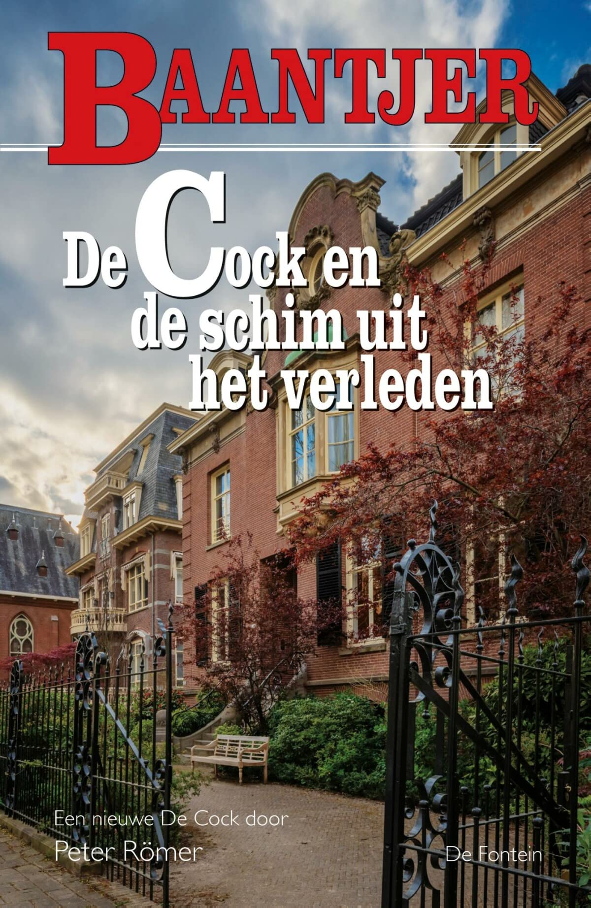 De Cock en de schim uit het verleden (Baantjer, 88) Contemporary literature