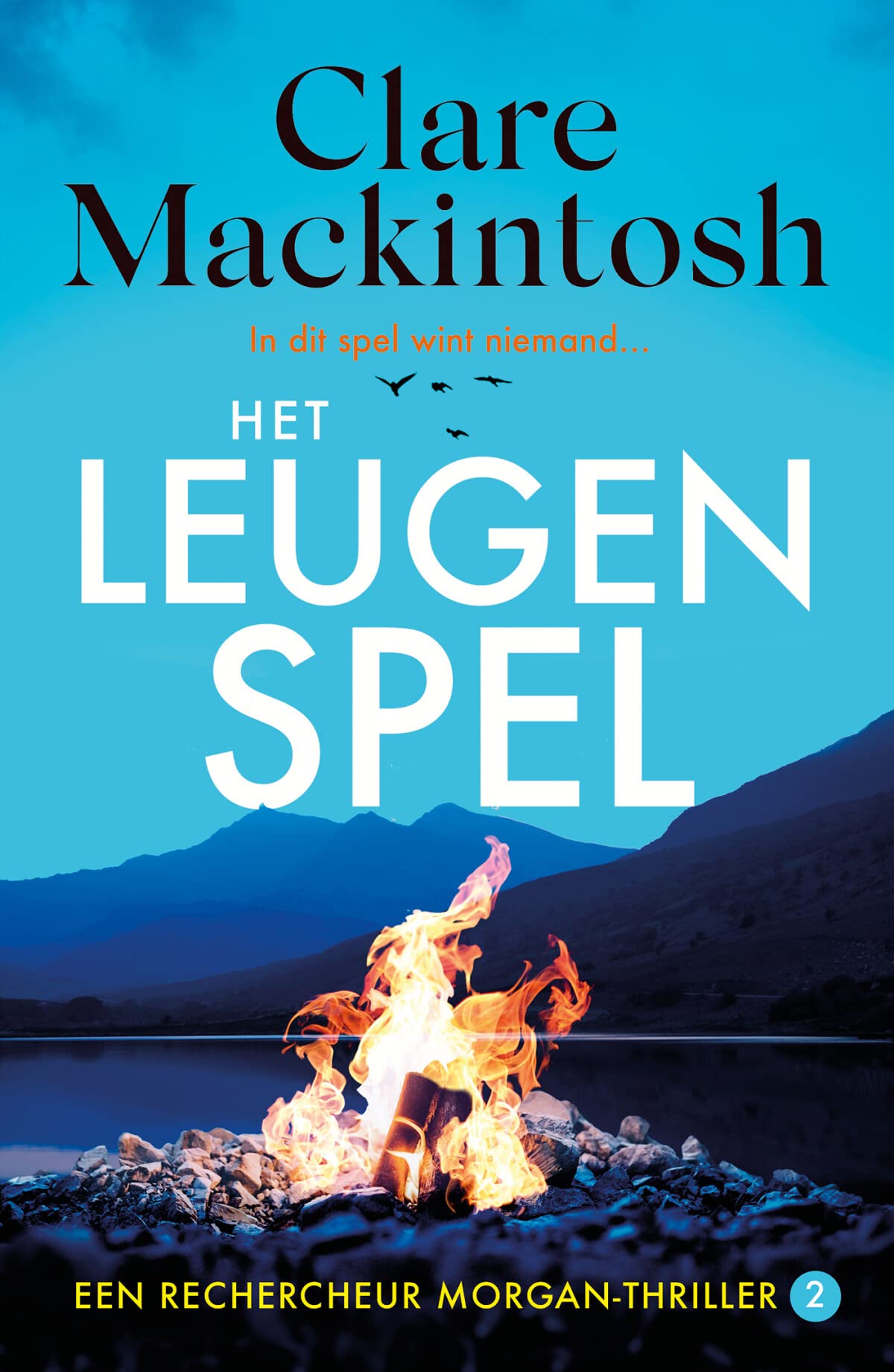 Het leugenspel (Rechercheur Morgan, 2) book