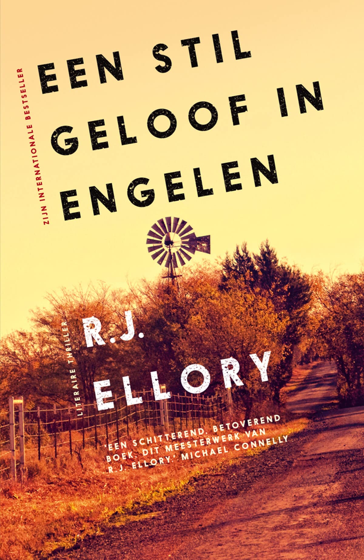 Een stil geloof in engelen book