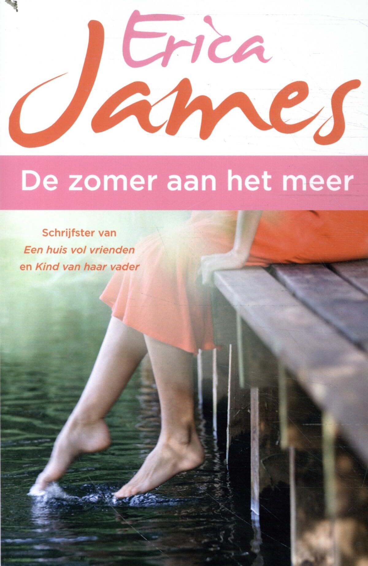 De zomer aan het meer Contemporary literature