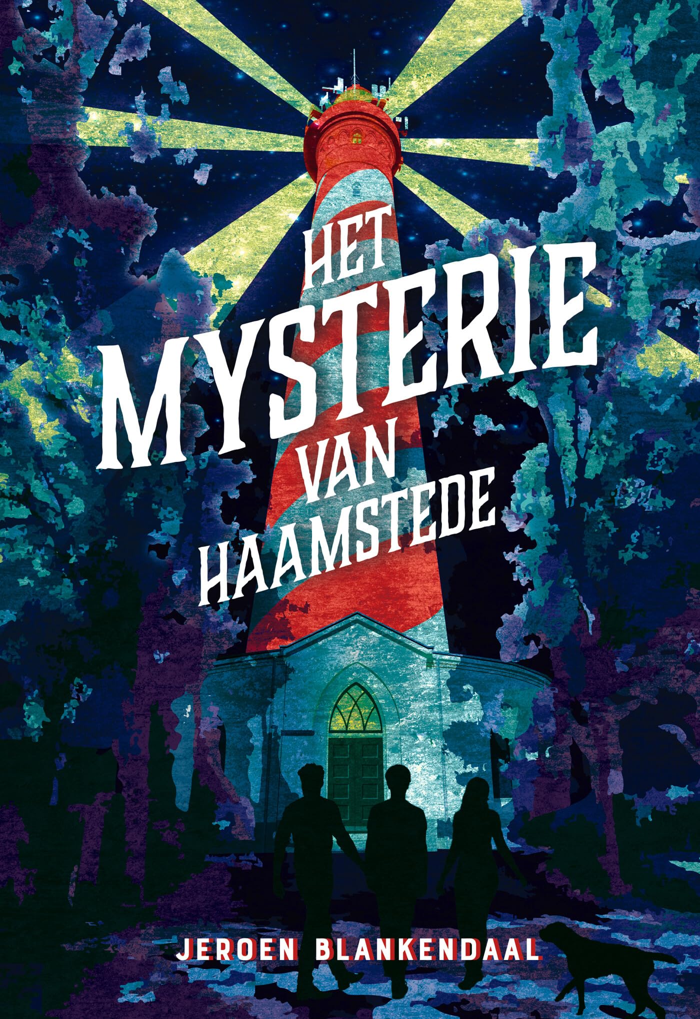 Het mysterie van Haamstede book