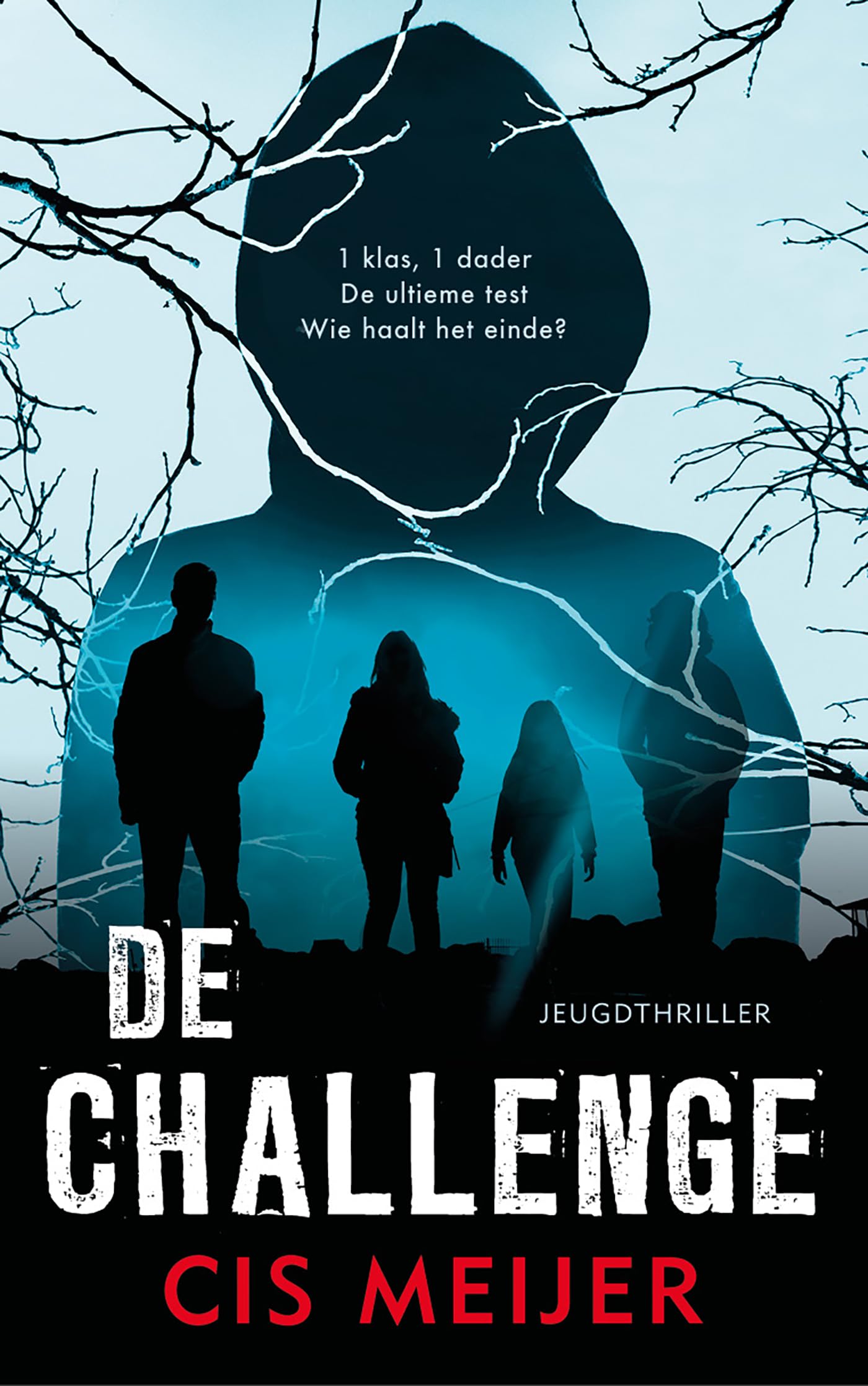 De challenge (Politie niet betreden) Books