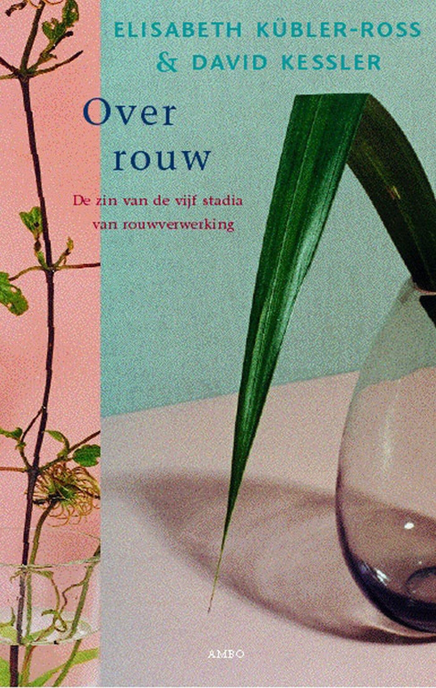 Over rouw: de zin van de vijf stadia van rouwverwerking Death & Mourning