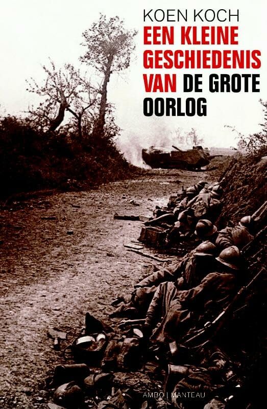 Een kleine geschiedenis van de Grote Oorlog book
