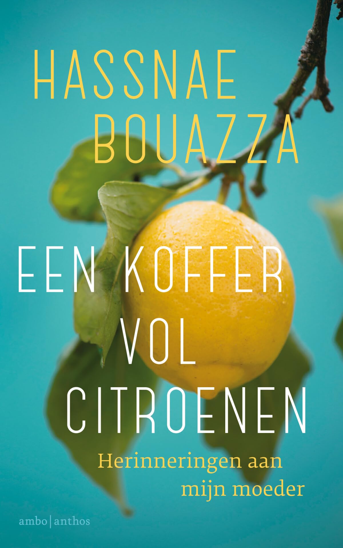 Een koffer vol citroenen: herinneringen aan mijn moeder book
