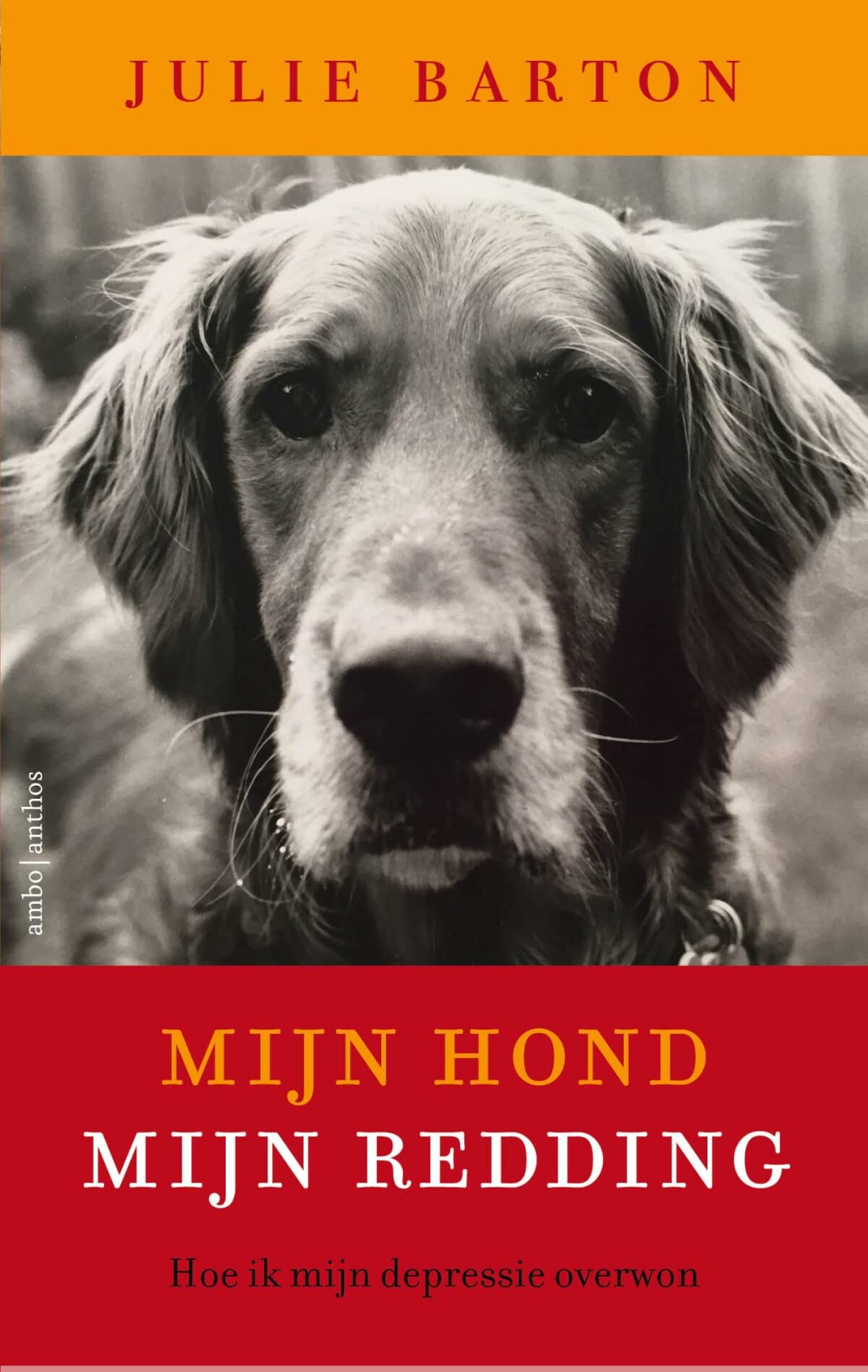Mijn hond, mijn redding: hoe ik mijn depressie overwon book