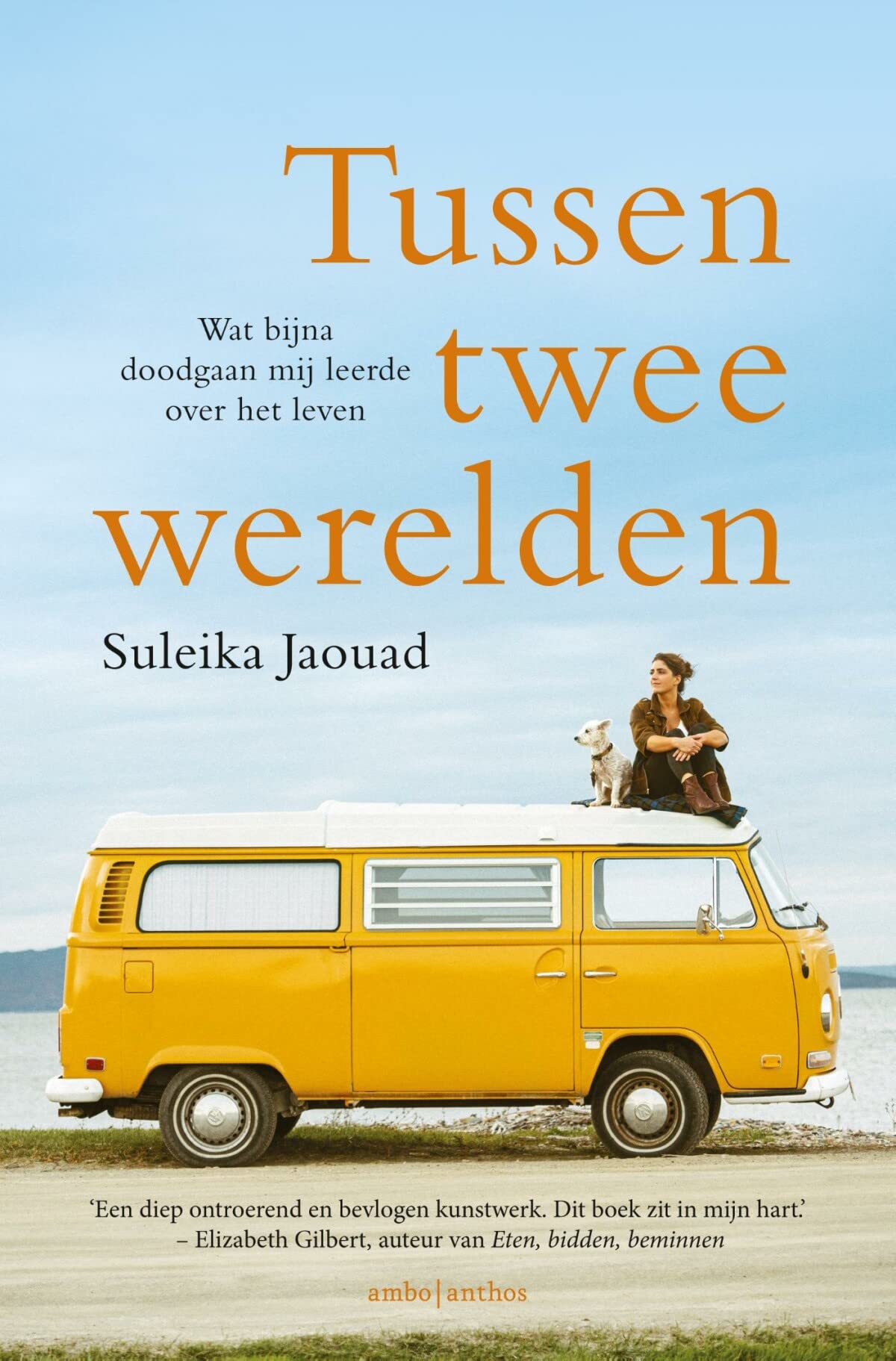 Tussen twee werelden: wat bijna doodgaan mij leerde over het leven book