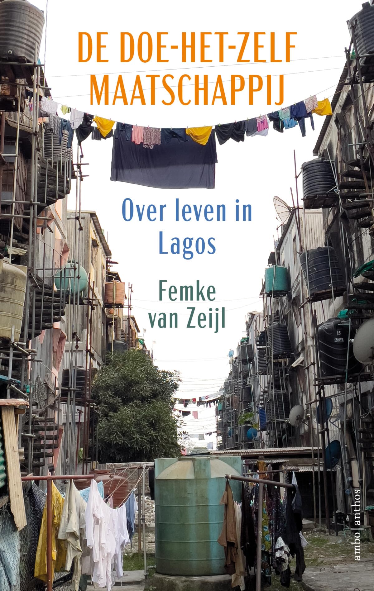 De doe-het-zelf maatschappij: over leven in Lagos book