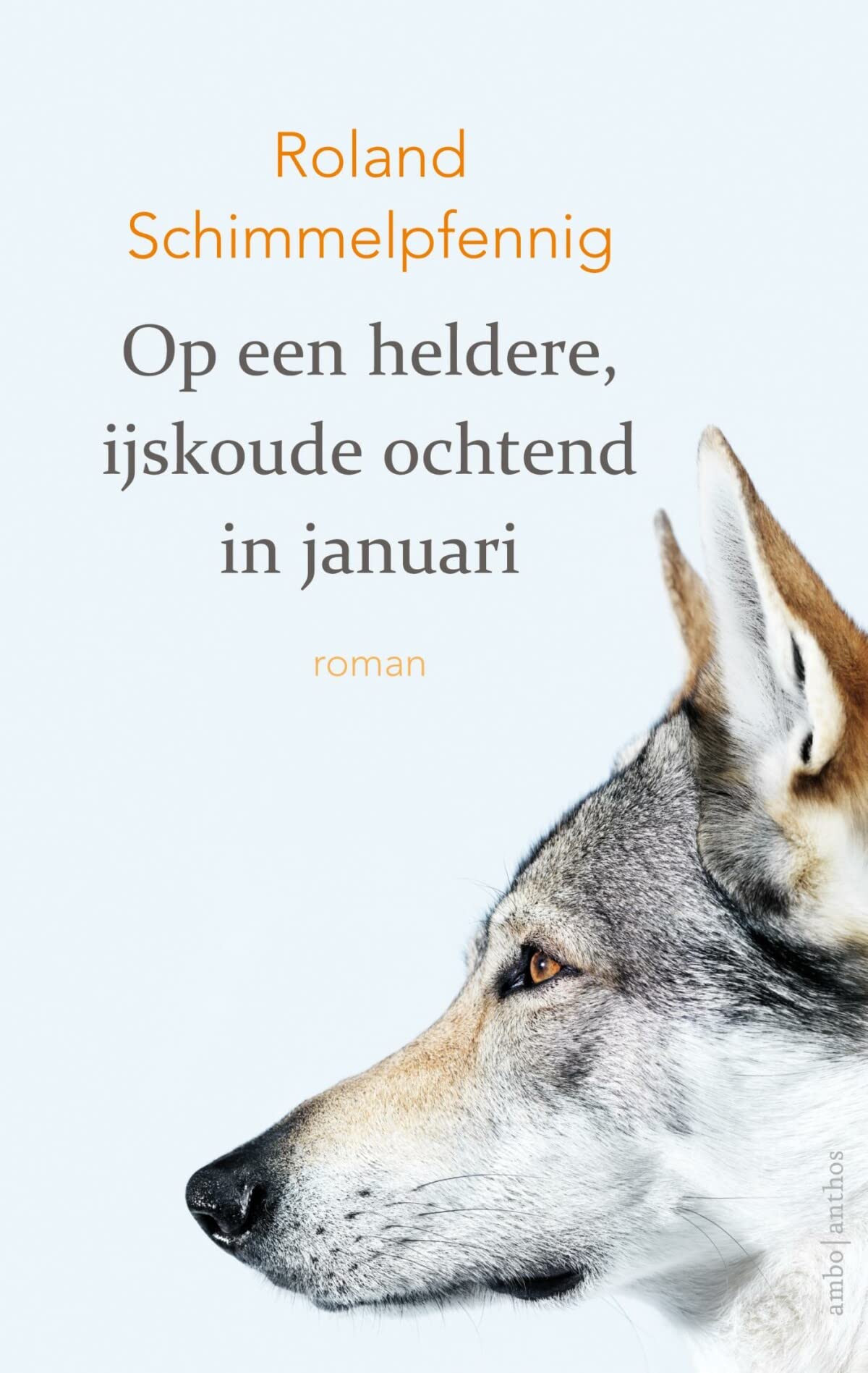 Op een heldere, ijskoude ochtend in januari book