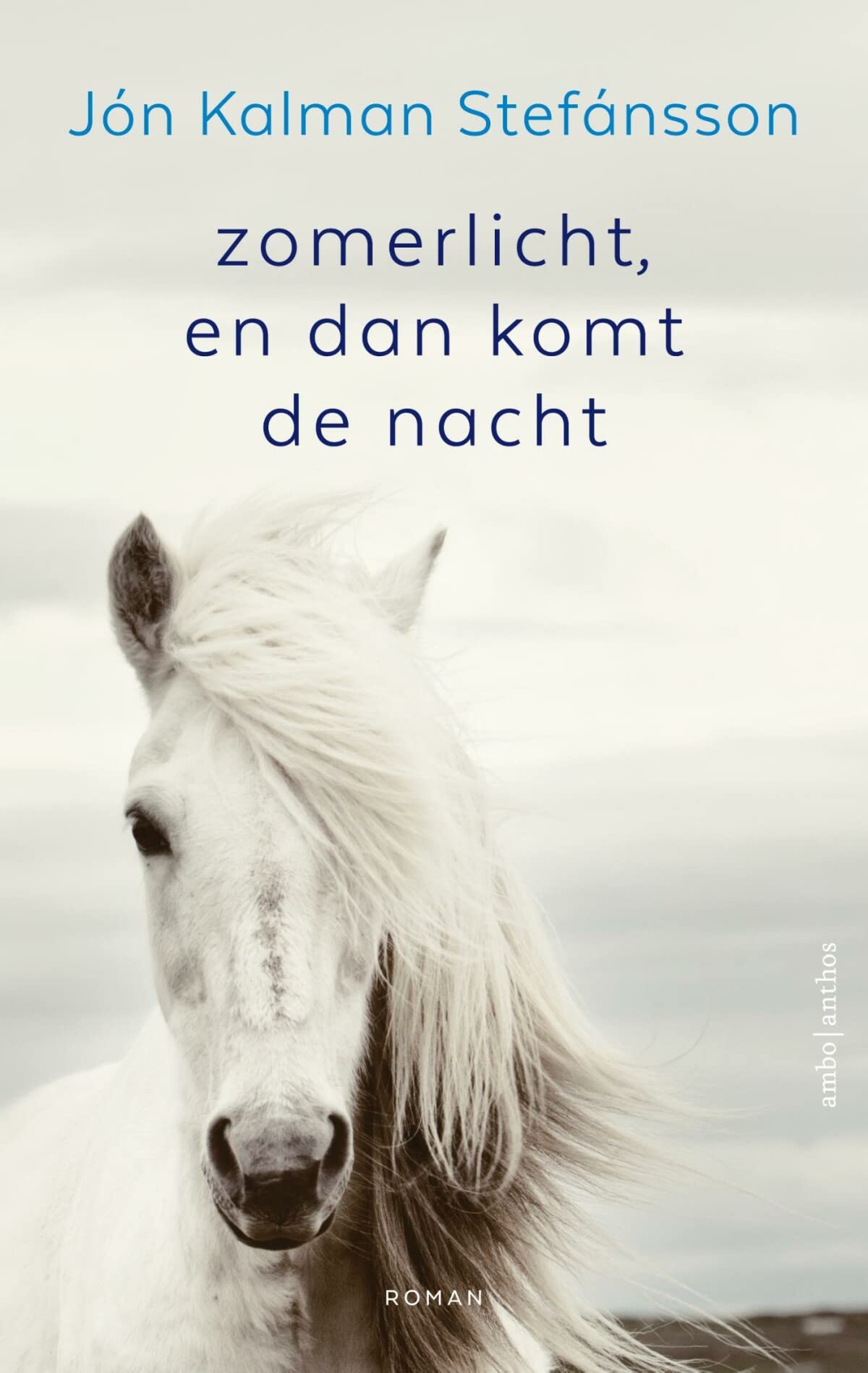 Zomerlicht, en dan komt de nacht book