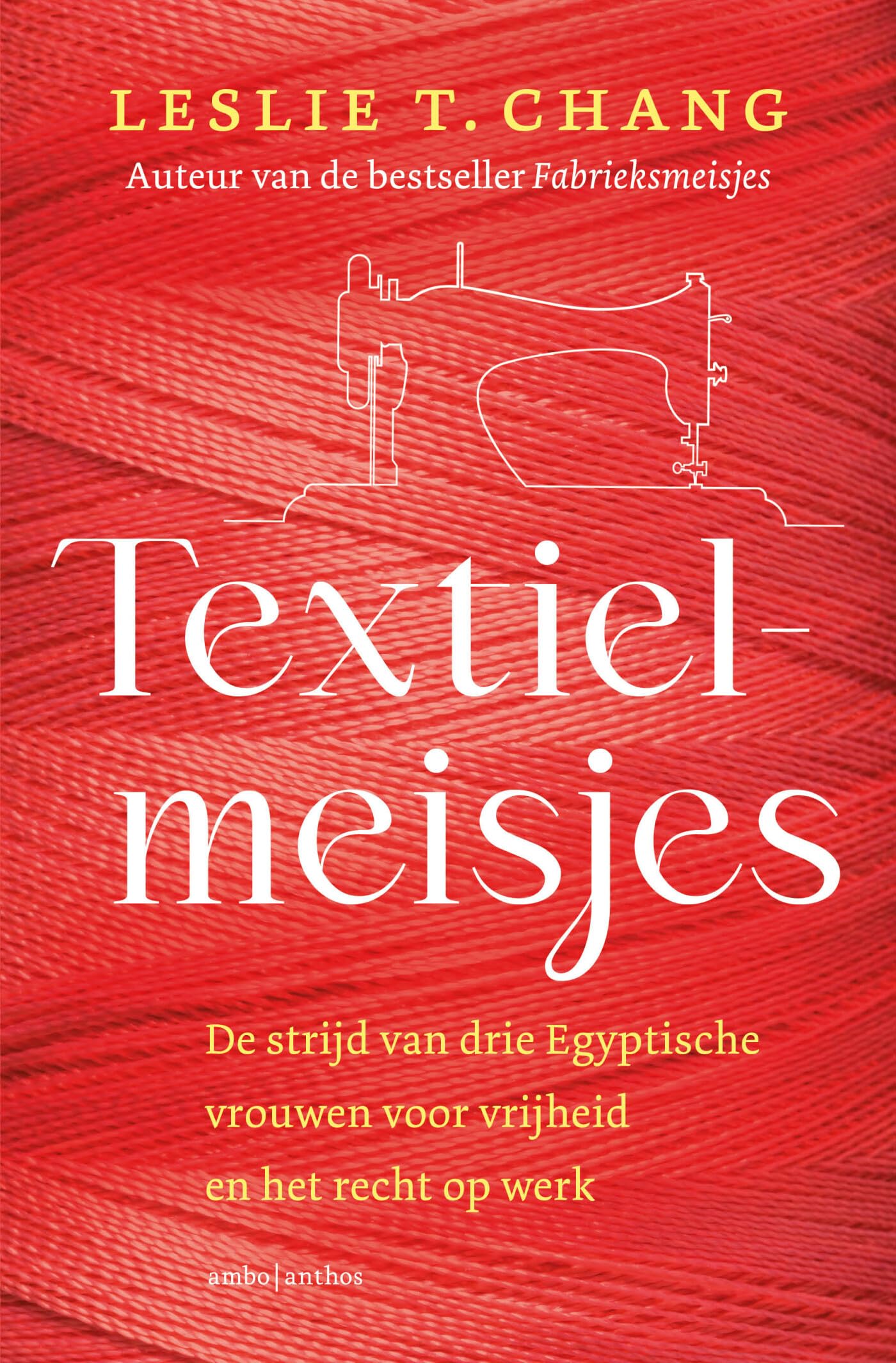 Textielmeisjes: de strijd van drie Egyptische vrouwen voor vrijheid en het recht op werk book