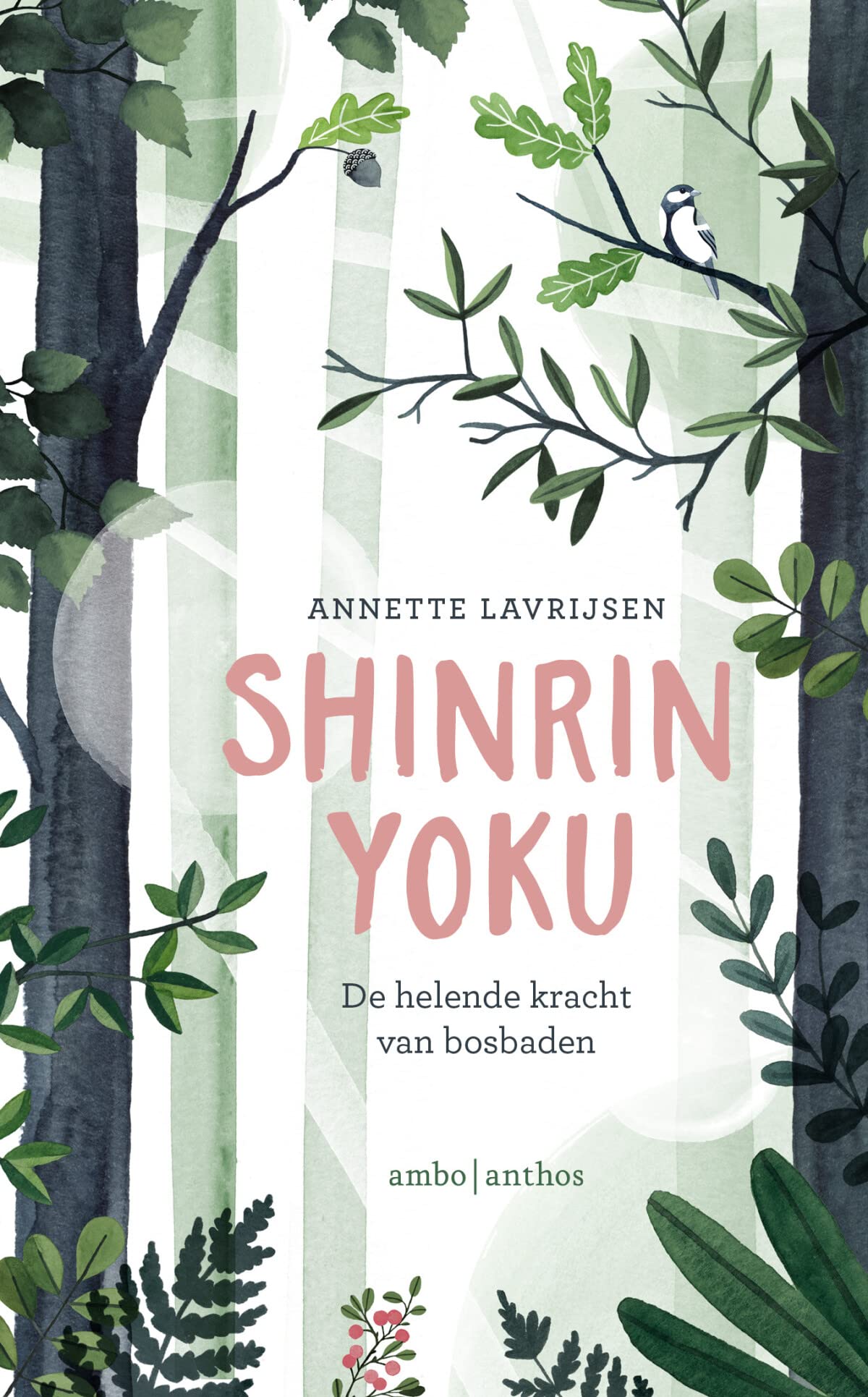 Shinrin-yoku: de helende kracht van bosbaden Mathematics