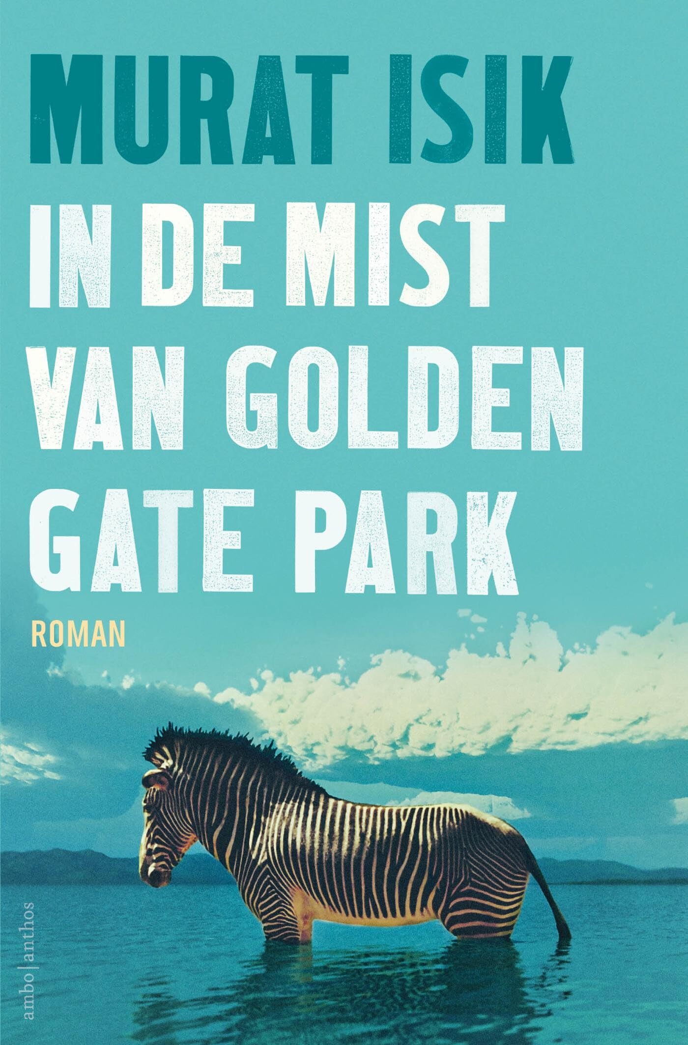 In de mist van Golden Gate Park (Metin Mutlu, 2) Contemporary literature