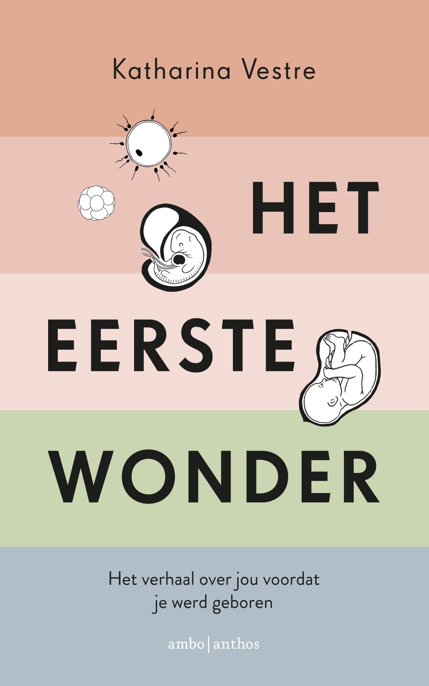 Het eerste wonder: negen maanden in de buik van je moeder book