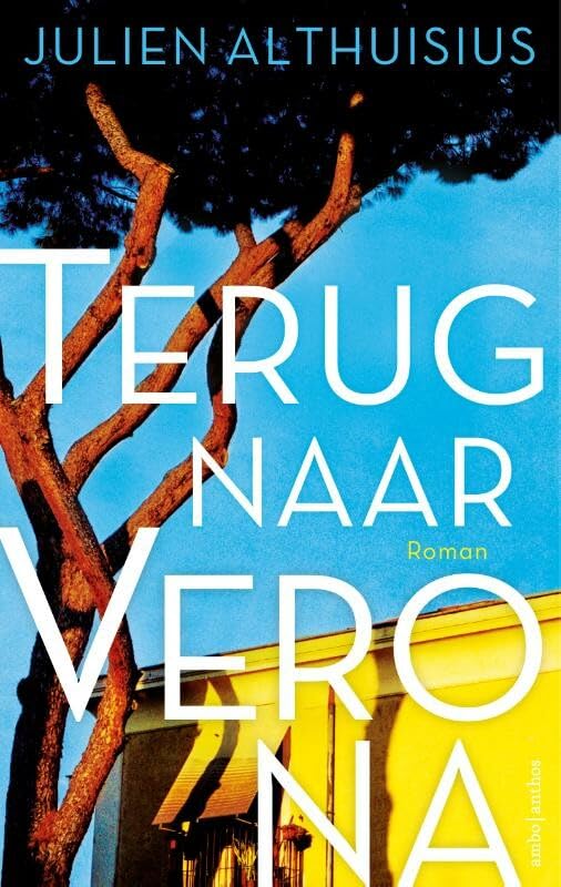 Terug naar Verona book