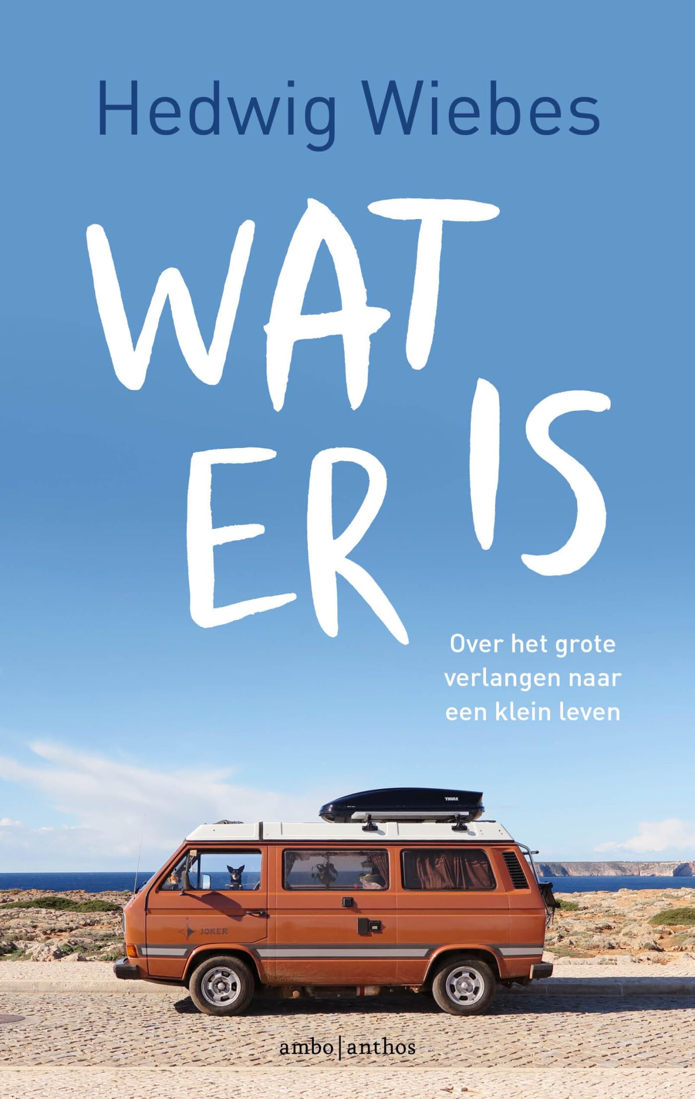 Wat er is: over het grote verlangen naar een klein leven book