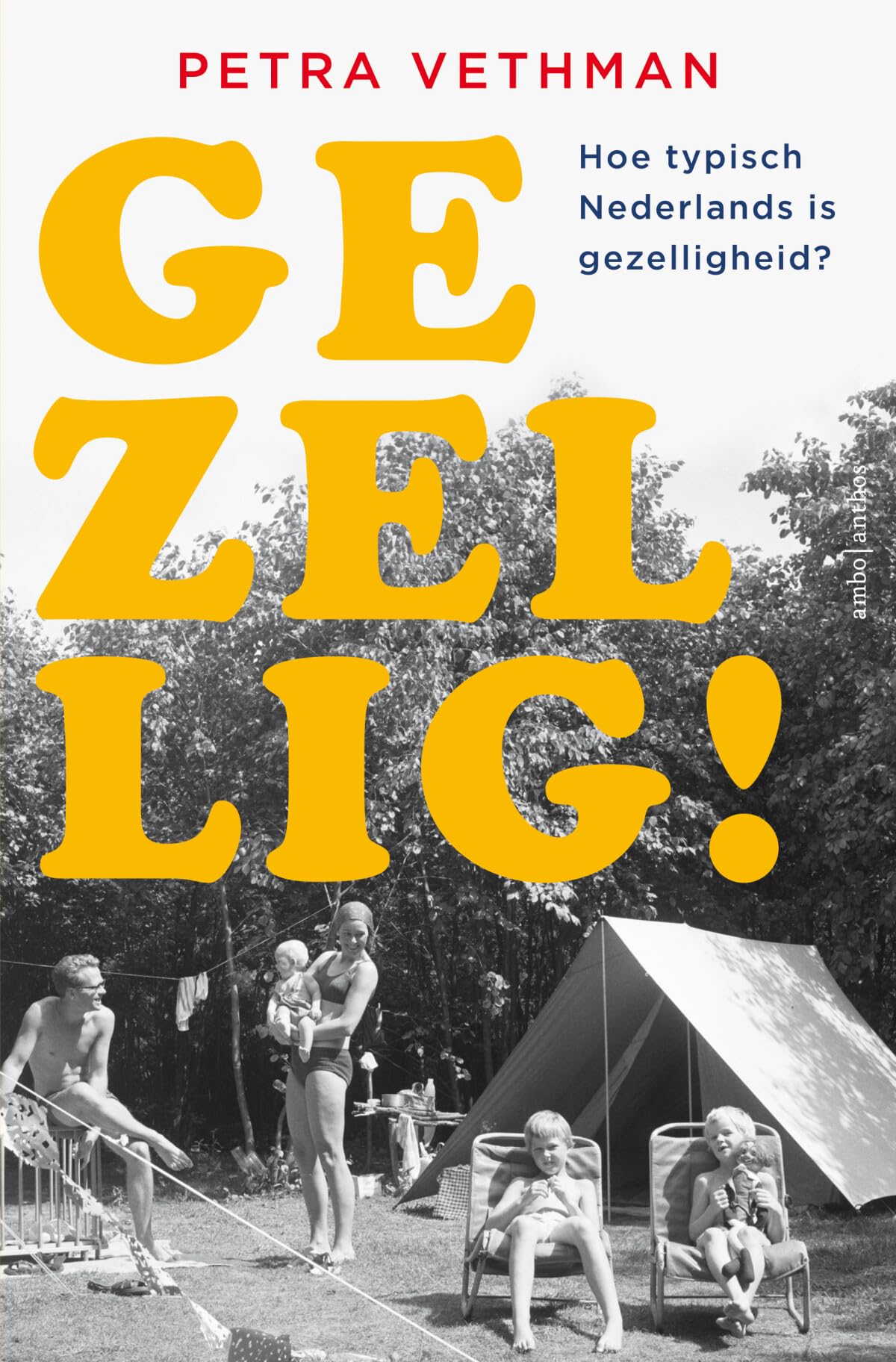 Gezellig!: Hoe typisch Nederlands is gezelligheid? Books