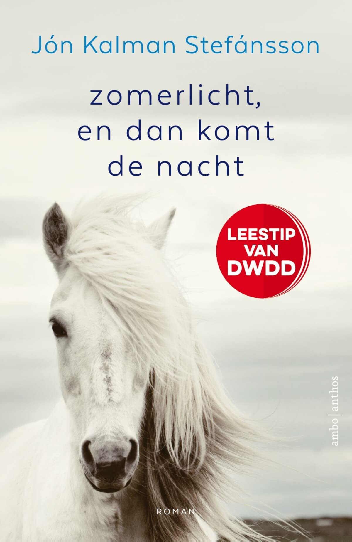 Zomerlicht, en dan komt de nacht book