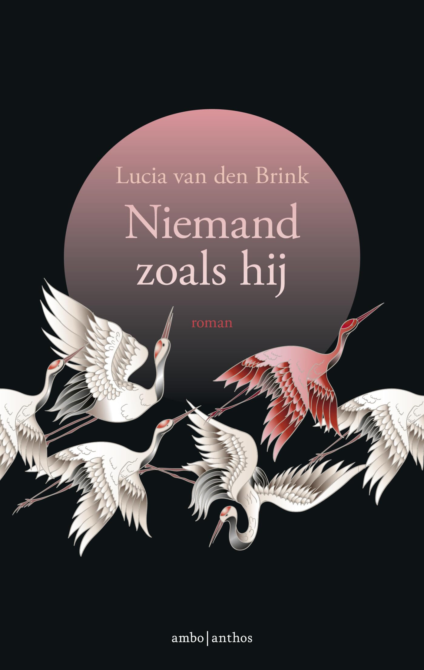 Niemand zoals hij Contemporary literature