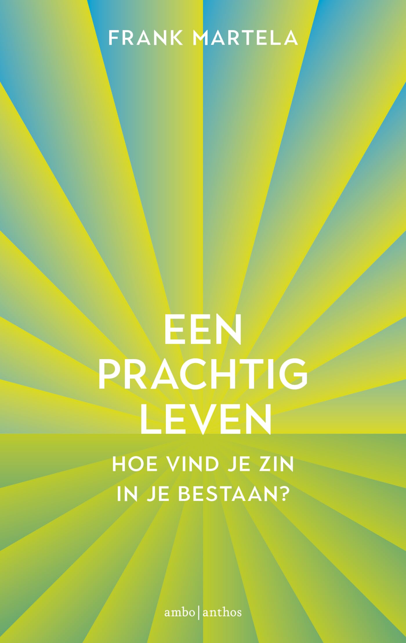 Een prachtig leven: hoe vind je zin in je bestaan? book