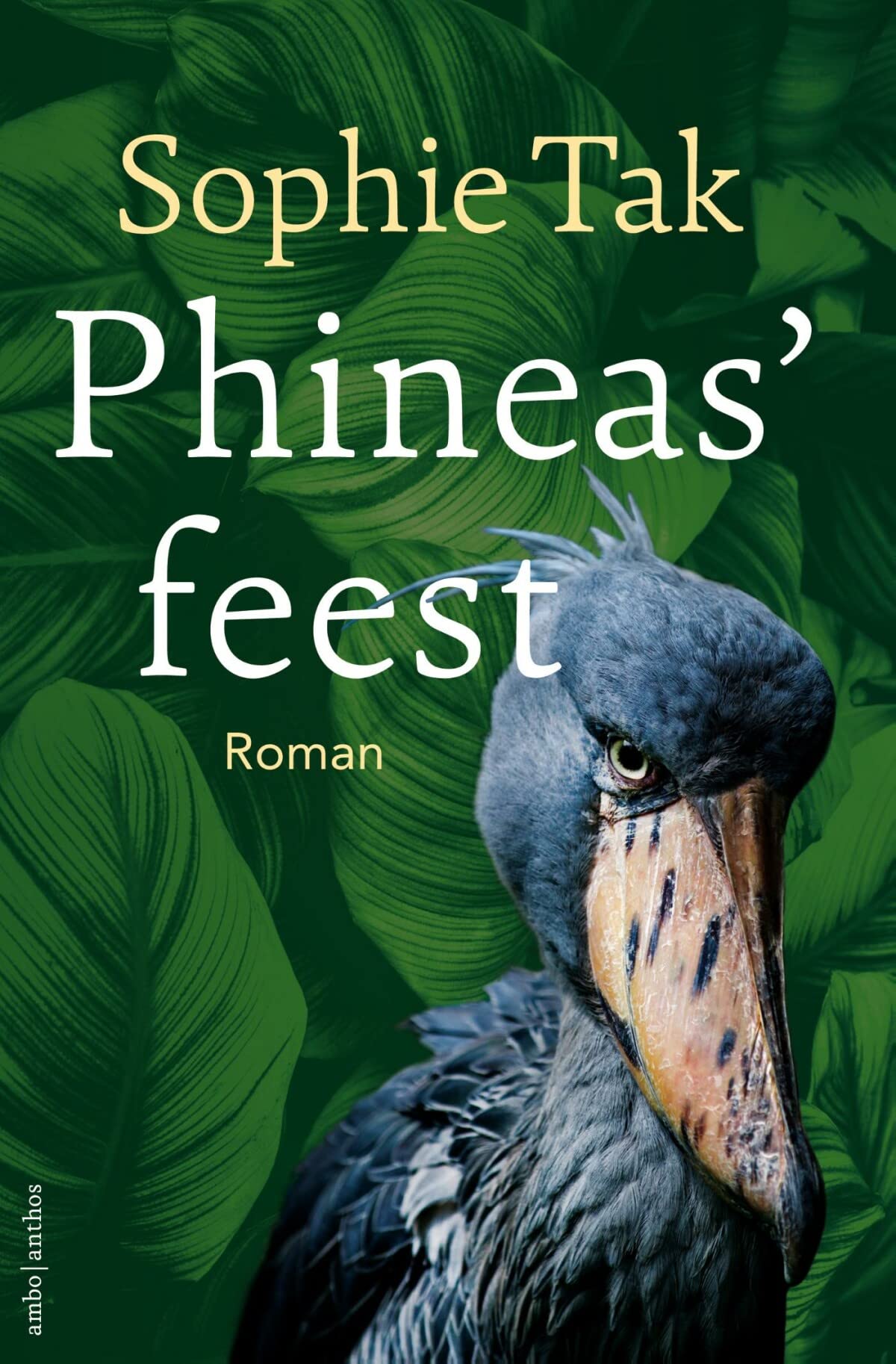 Phineas' feest Books