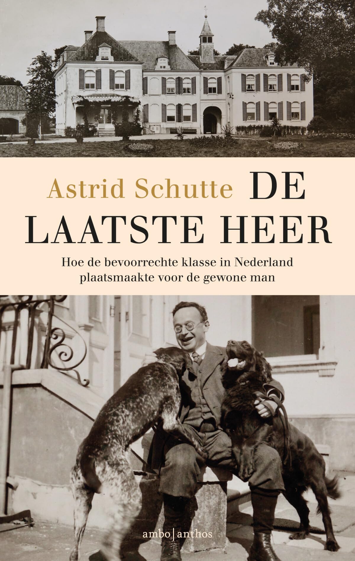 De laatste heer: hoe de bevoorrechte klasse in Nederland plaatsmaakte voor de gewone man Books