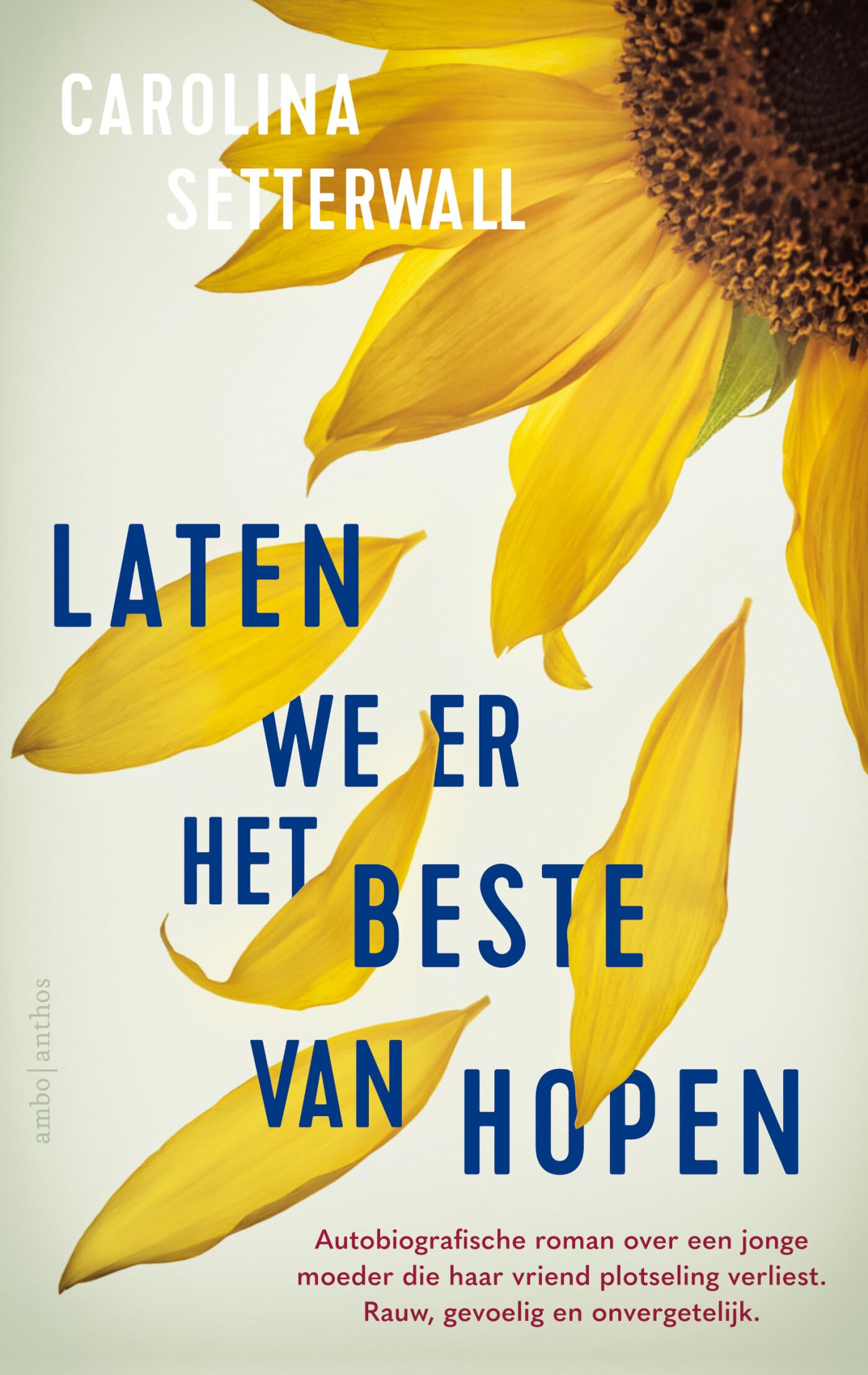 Laten we er het beste van hopen Contemporary literature