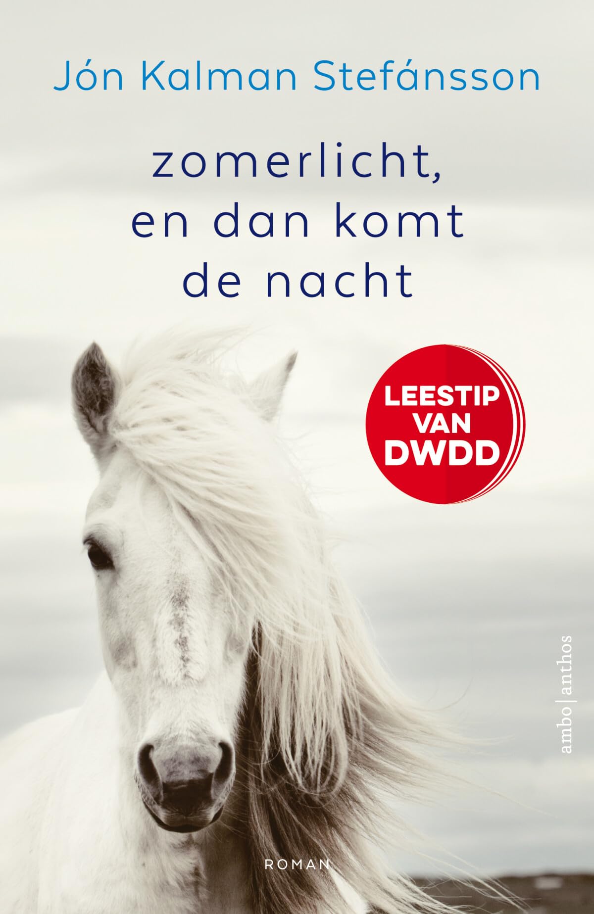 Zomerlicht, en dan komt de nacht Contemporary literature