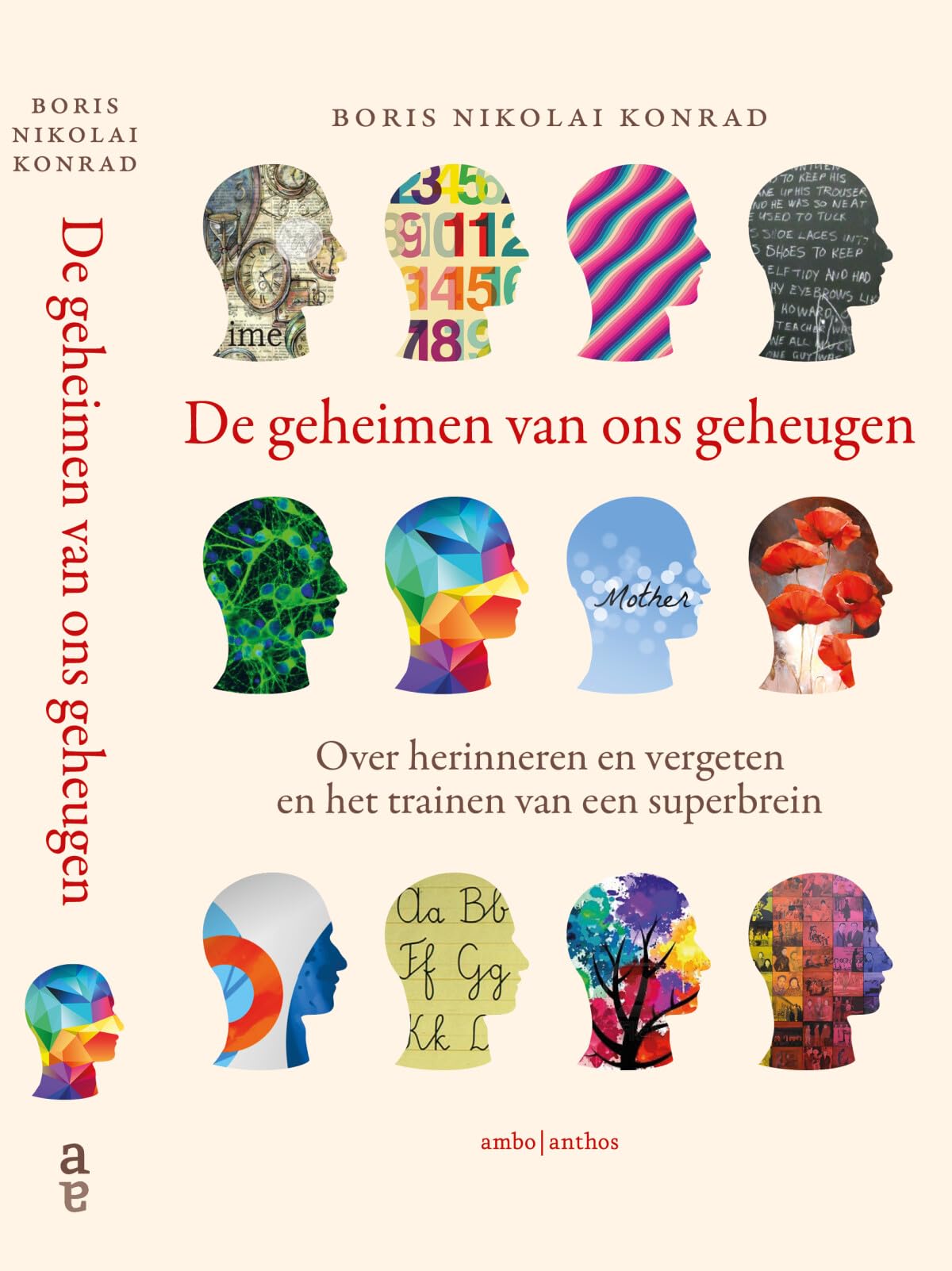 De geheimen van ons geheugen: over herinneren en vergeten en het trainen van een superbrein book