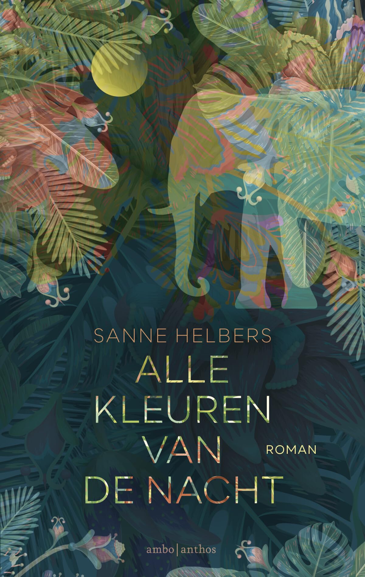 Alle kleuren van de nacht LGBTQ+