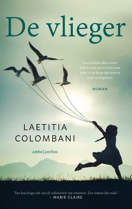 De vlieger Contemporary literature Books