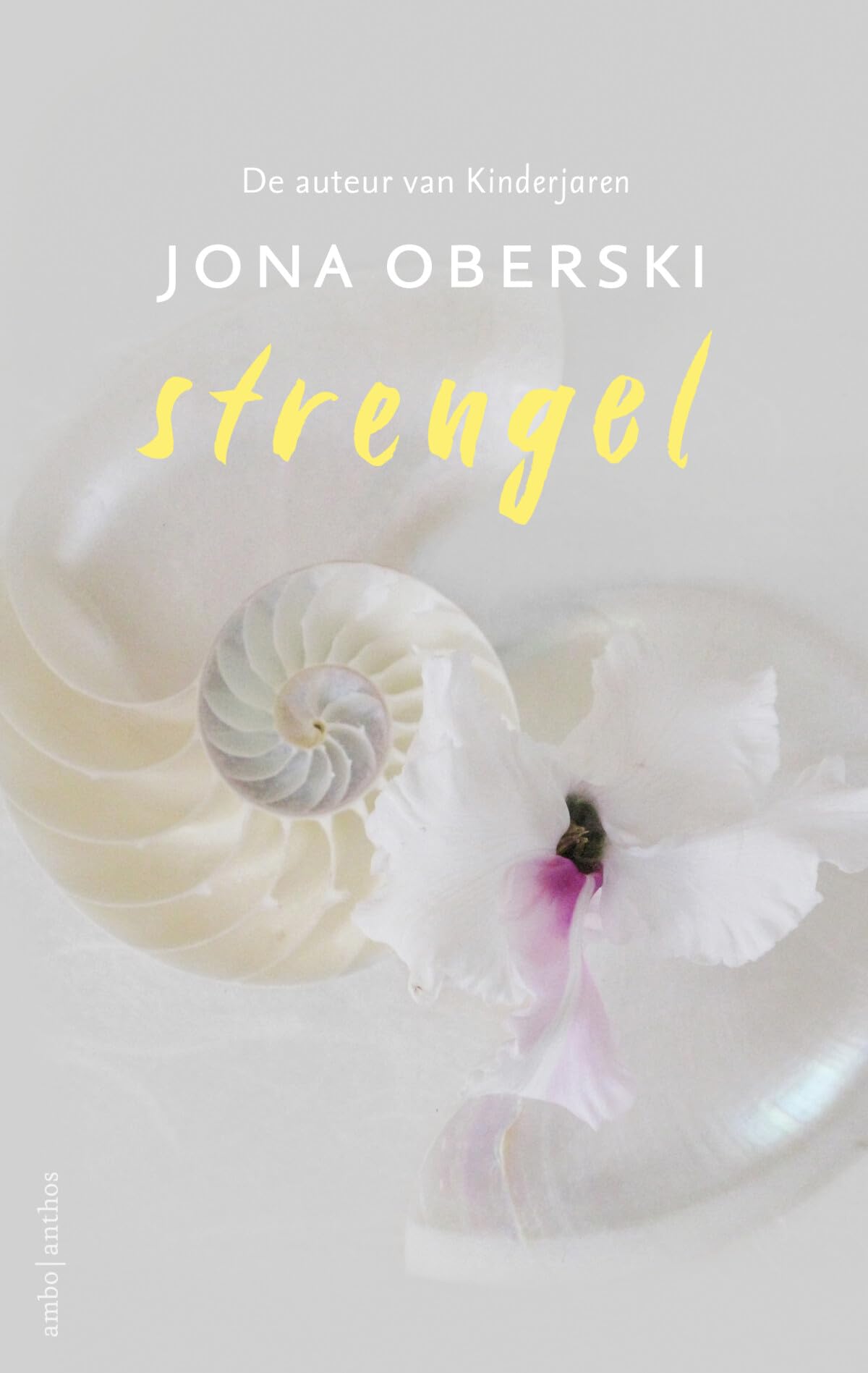 Strengel Contemporary literature Books