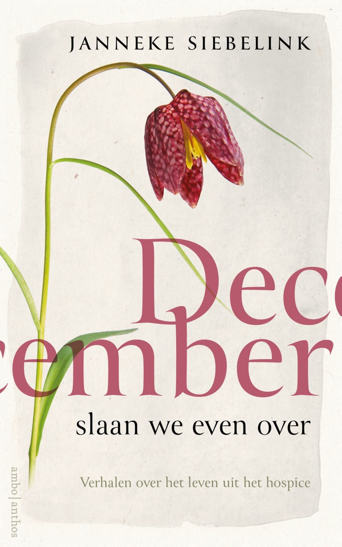 December slaan we even over: verhalen over het leven uit het hospice Medicine