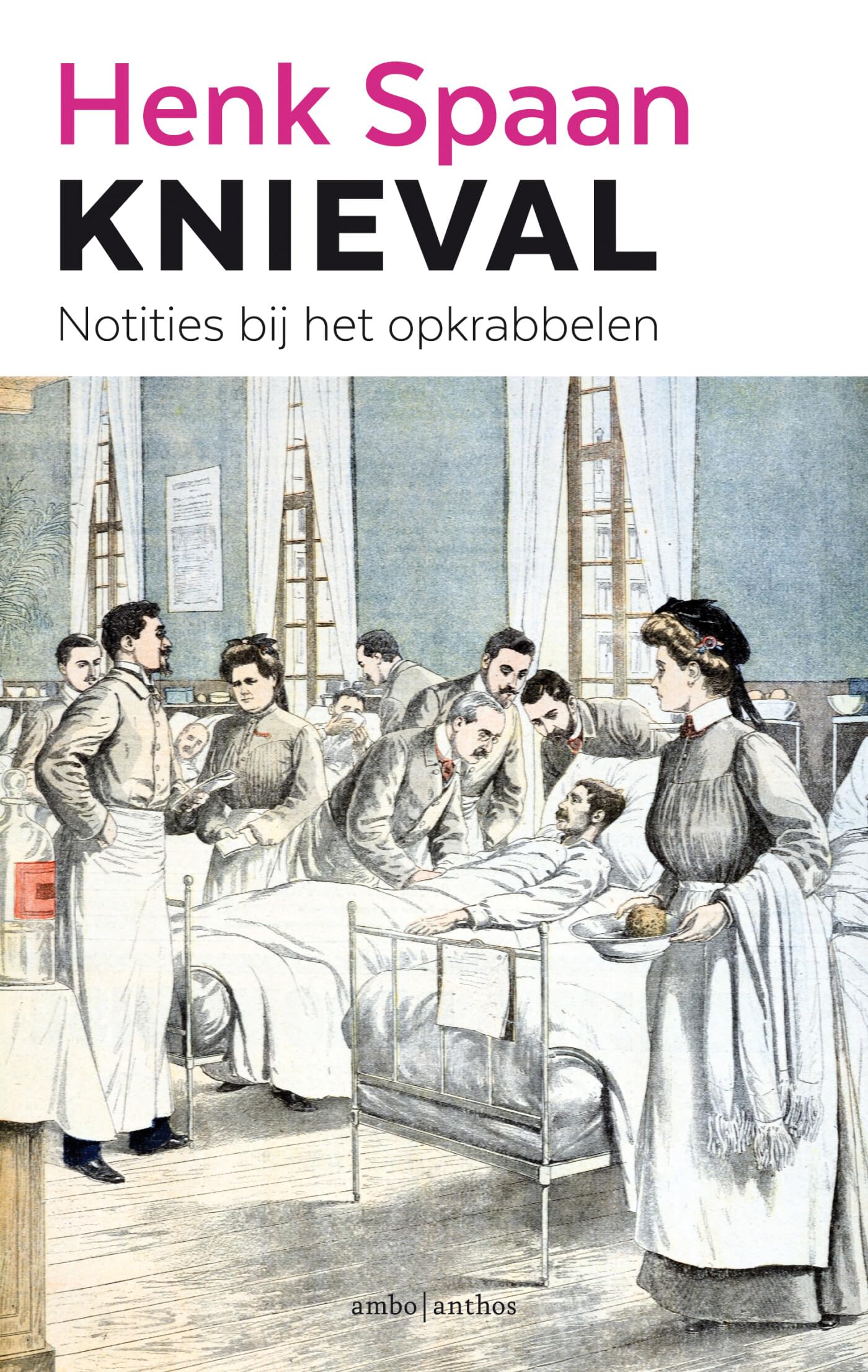 Knieval: notities bij het opkrabbelen book