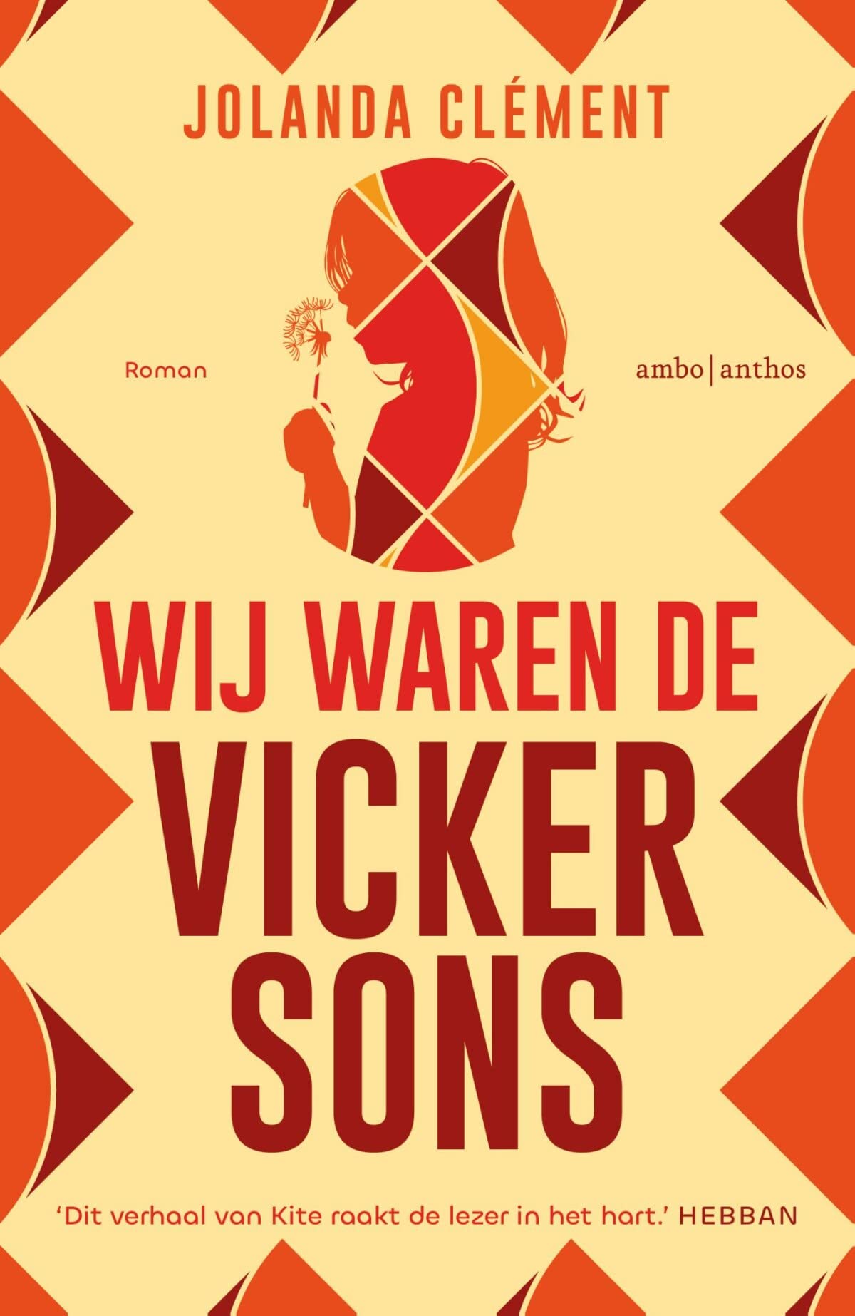Wij waren de Vickersons Contemporary literature Books