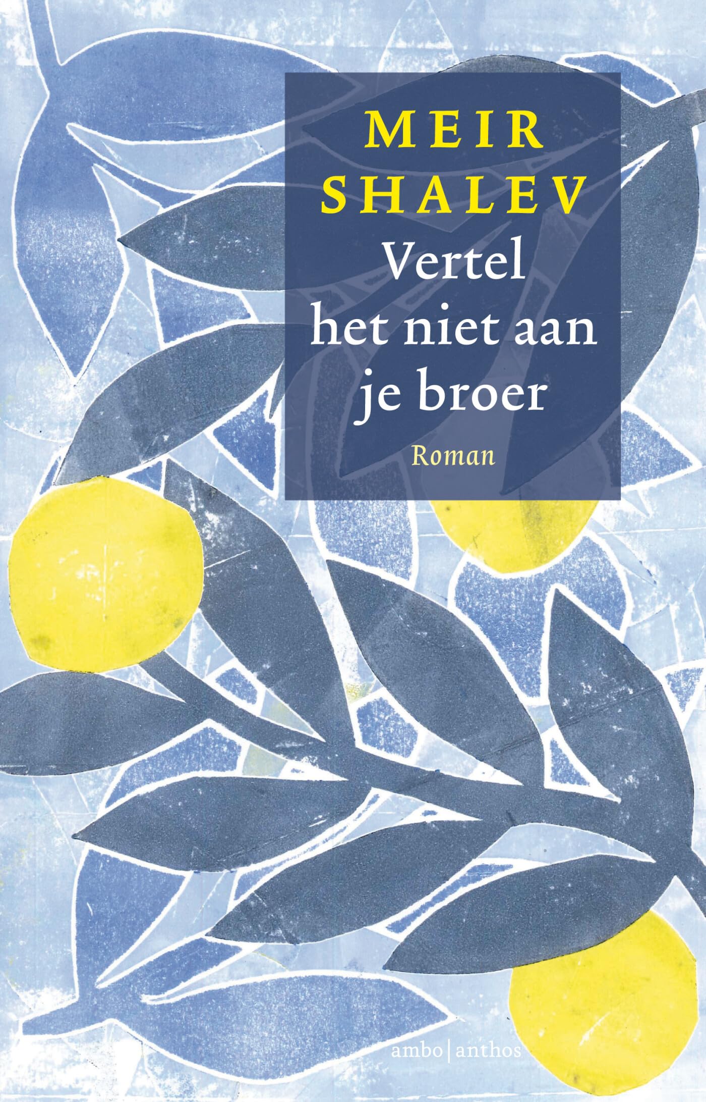 Vertel het niet aan je broer Contemporary literature