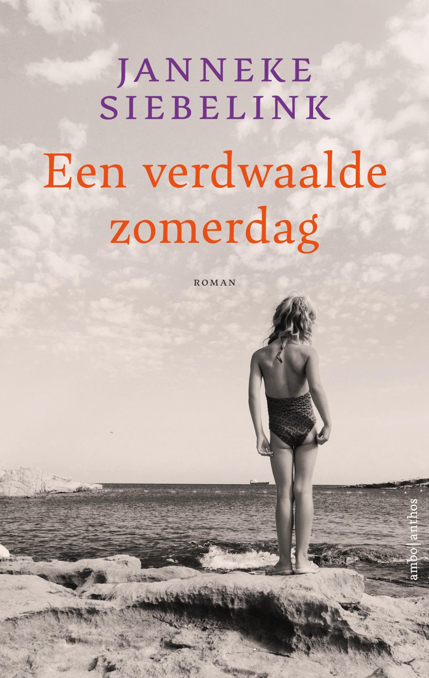 Een verdwaalde zomerdag Contemporary literature