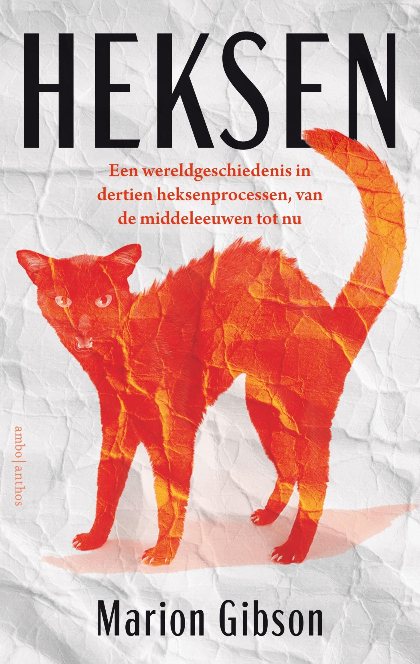 Heksen: een wereldgeschiedenis in dertien heksenprocessen, van de middeleeuwen tot nu Politics & History