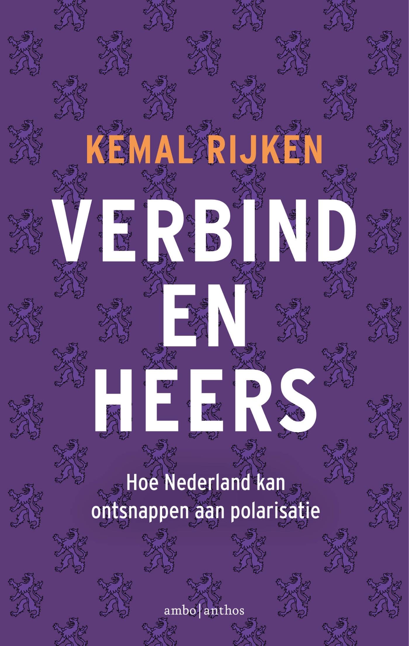 Verbind en heers: Hoe Nederland kan ontsnappen aan negatieve polarisatie book