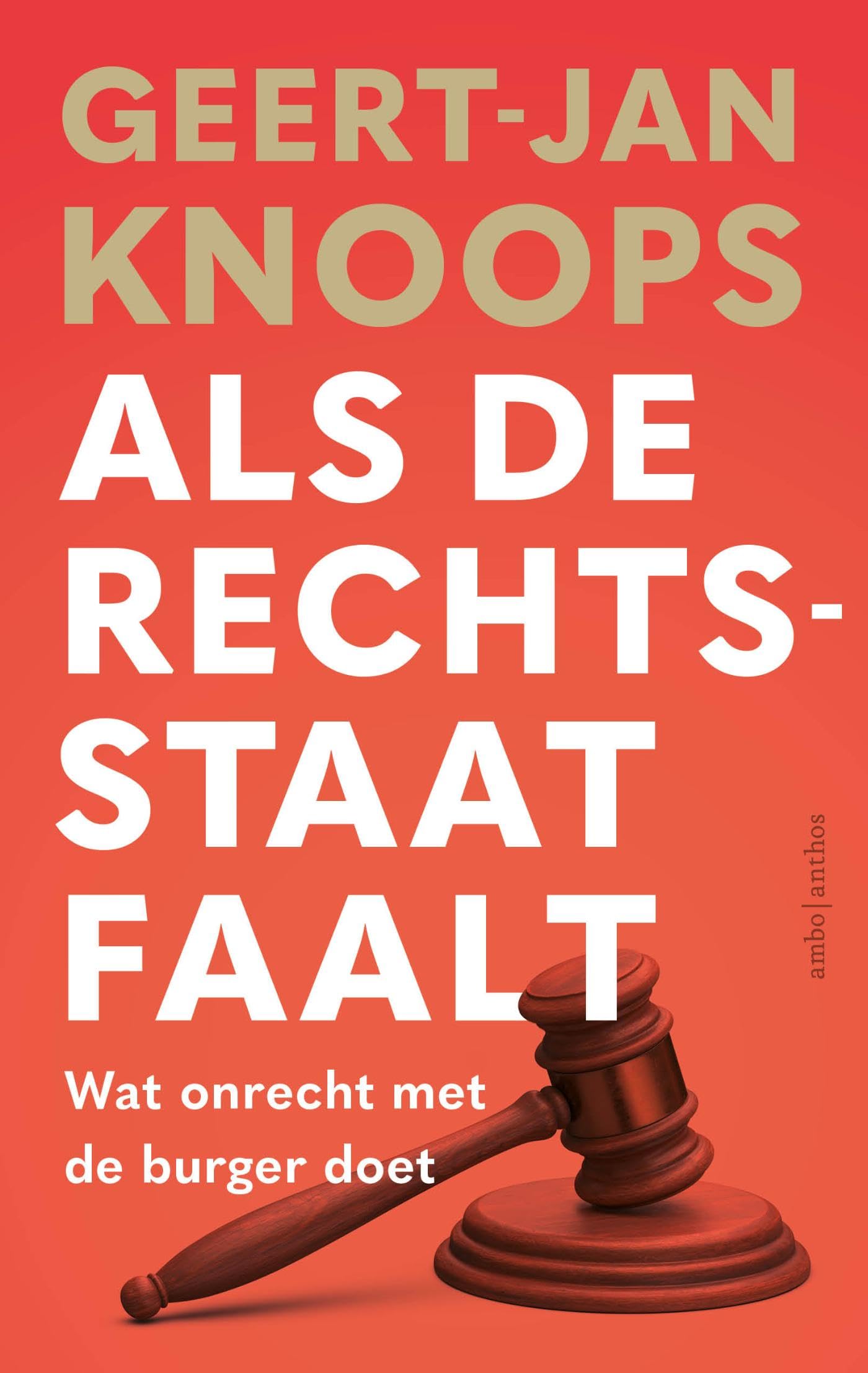 Als de rechtsstaat faalt: Wat onrecht met de burger doet book