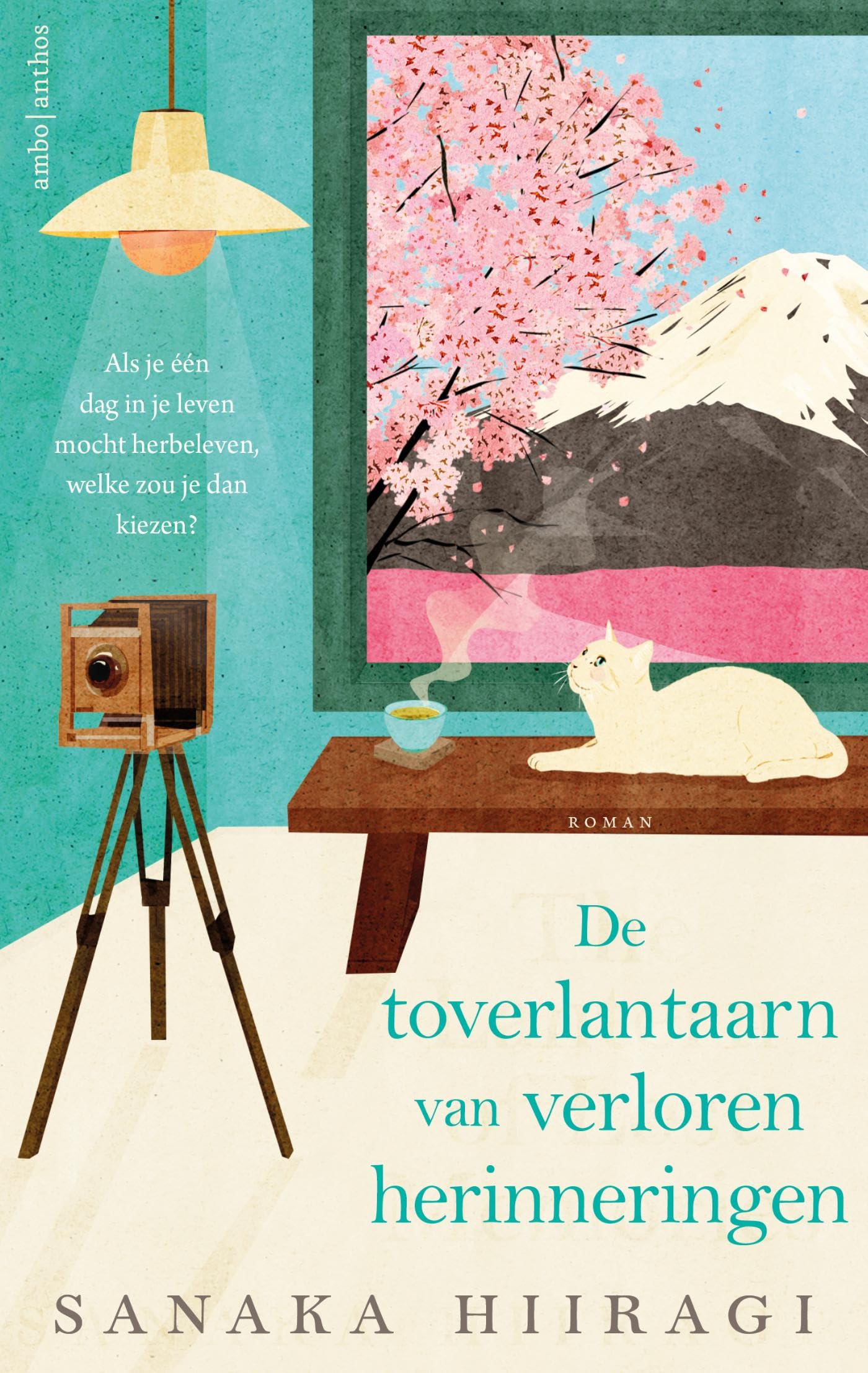 De toverlantaarn van verloren herinneringen book
