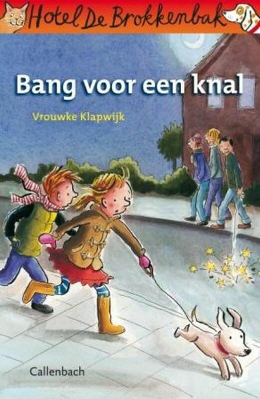 Bang voor een knal book
