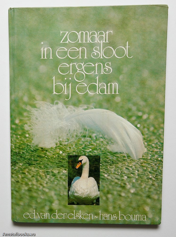 Zomaar in een sloot ergens bij Edam Photography