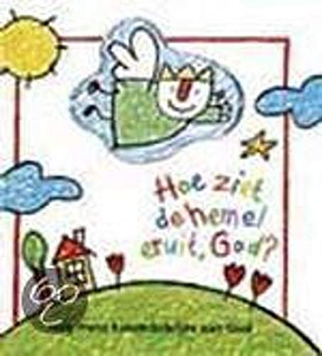 Hoe ziet de hemel eruit, God ?: nog meer kinderbriefjes aan God book