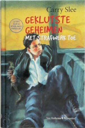 Geklutste geheimen met strafwerk toe book