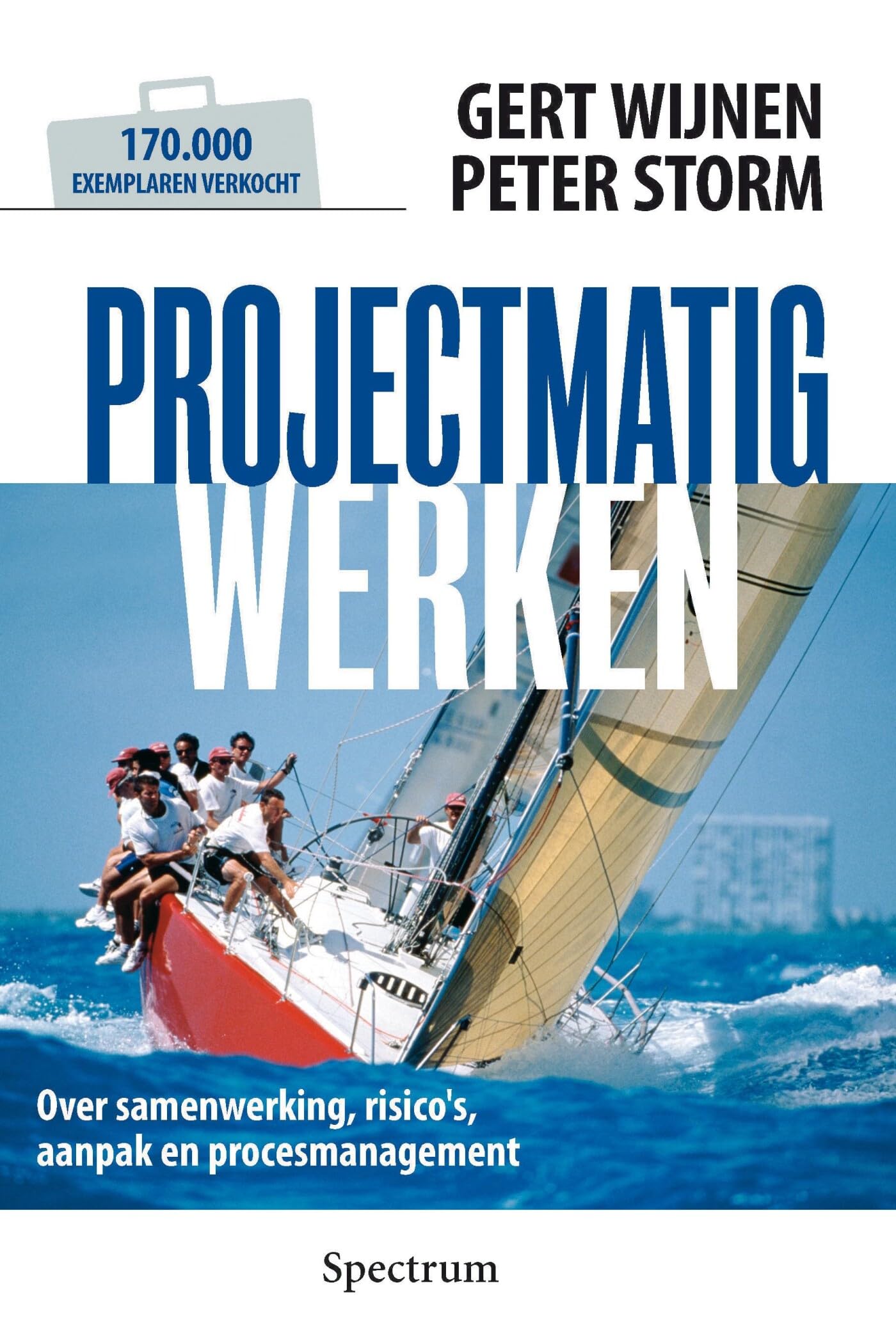 Projectmatig werken: over samenwerking, risico's, aanpak en procesmanagement book