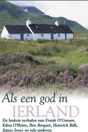 Als een god in Ierland Contemporary literature