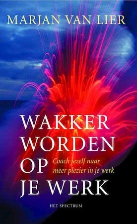 Wakker worden op je werk: coach jezelf naar meer plezier in je werk Psychology